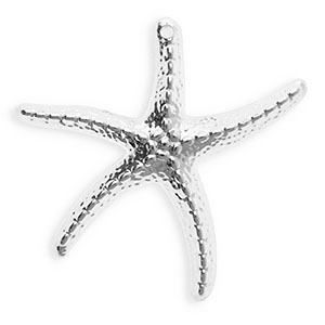 Acryl hangers starfish Silver