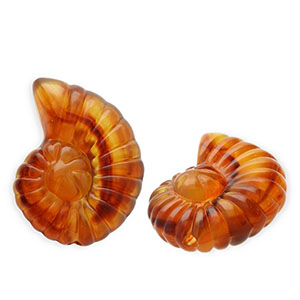 Kralen van acryl shell Amber brown