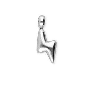 BY31&reg; Bedels van Stainless steel Roestvrij staal (RVS) thunder Silver
