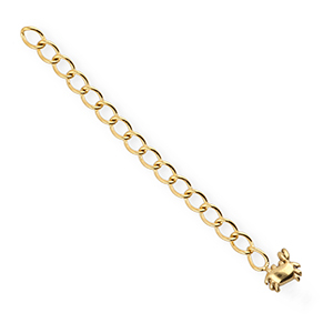 BY31&reg; Benodigdheden van Stainless steel Roestvrij staal (RVS) verlengketting set crab Gold