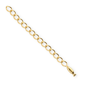 BY31&reg; Benodigdheden van Stainless steel Roestvrij staal (RVS) verlengketting set fish Gold