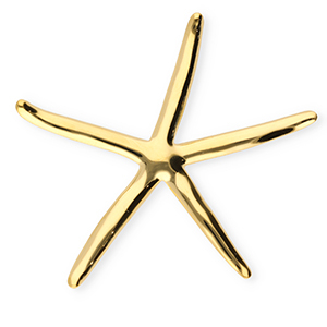Statement broches van Stainless steel Roestvrij staal (RVS) starfish Gold