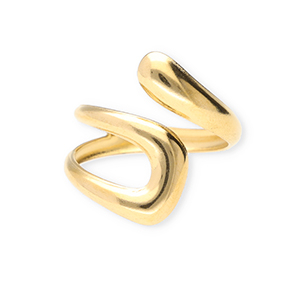 Ringen van Stainless steel Roestvrij staal (RVS) Gold