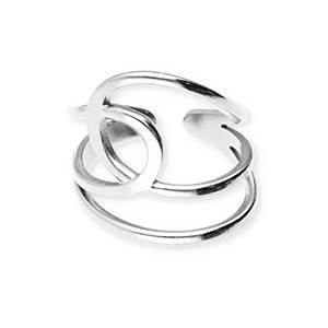 Ringen van Stainless steel Roestvrij staal (RVS) Silver