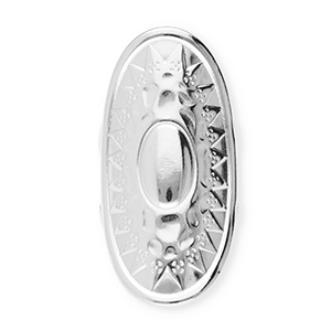 Ringen van Stainless steel Roestvrij staal (RVS) oval with sun Silver