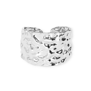 Ringen van Stainless steel Roestvrij staal (RVS) Silver
