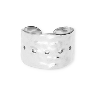 Ringen van Stainless steel Roestvrij staal (RVS) Silver