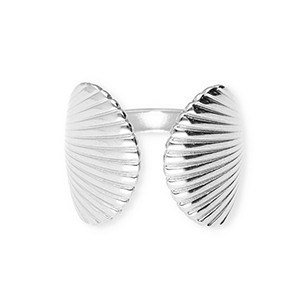 Ringen van Stainless steel Roestvrij staal (RVS) shells Silver