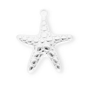 Bedels van Stainless steel Roestvrij staal (RVS) starfish Silver