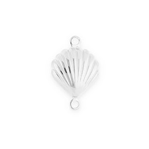 Benodigdheden van Stainless steel Roestvrij staal (RVS) tussenstuk shell Silver
