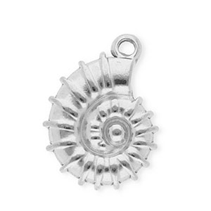 Bedels van Stainless steel Roestvrij staal (RVS) sea shell Silver
