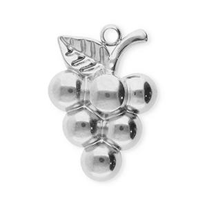 Bedels van Stainless steel Roestvrij staal (RVS) grapes Silver