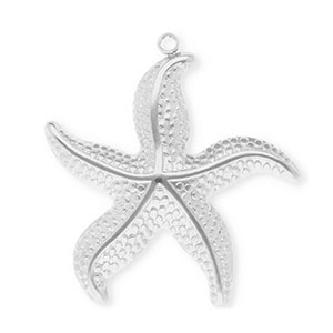 Bedels van Stainless steel Roestvrij staal (RVS) starfish Silver