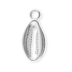 Bedels van Stainless steel Roestvrij staal (RVS) cowrie Silver