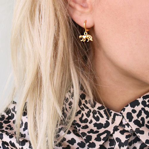 Minimalistische sieraden met dieren bedels van RVS, resin en metaal voor iedereen!